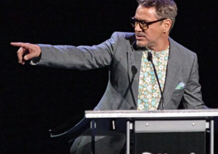 robert downey jr