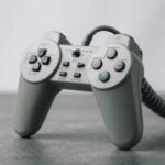 Sony's PlayStation Puga Prototype