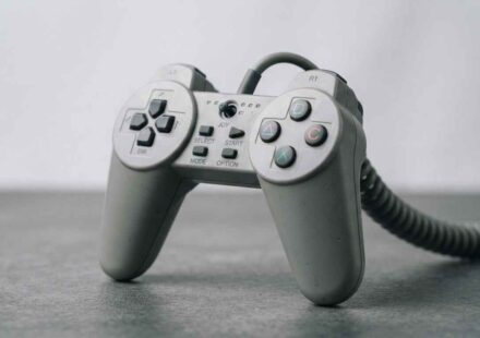 Sony's PlayStation Puga Prototype